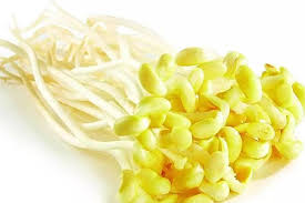 Mung bean sprouts 400g