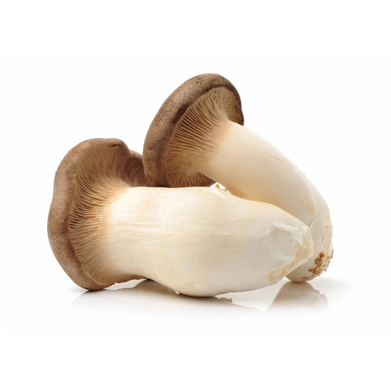 King Oyster Mushroom 250g